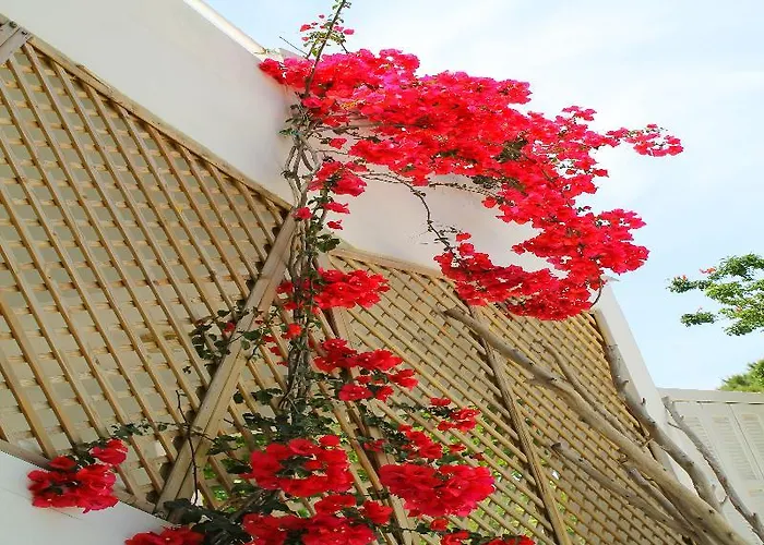 Melody Aparthotel Faliraki