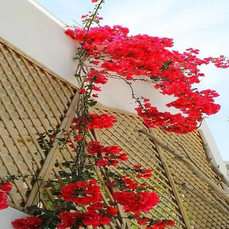 Melody Aparthotel Faliraki
